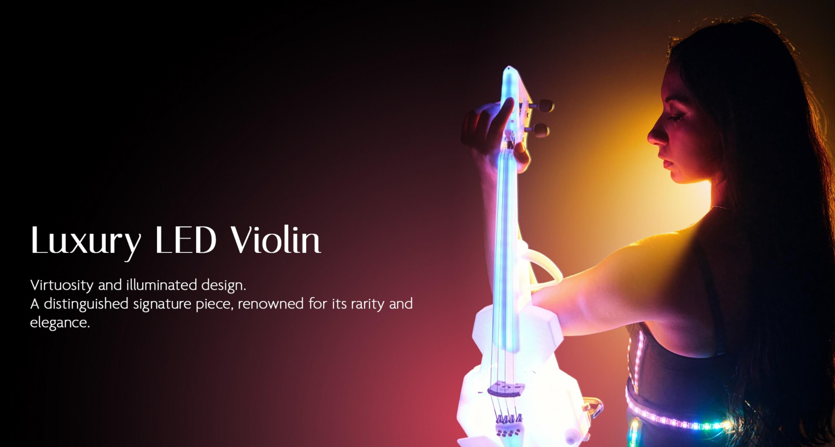 LUMINOUS presentation slide 5