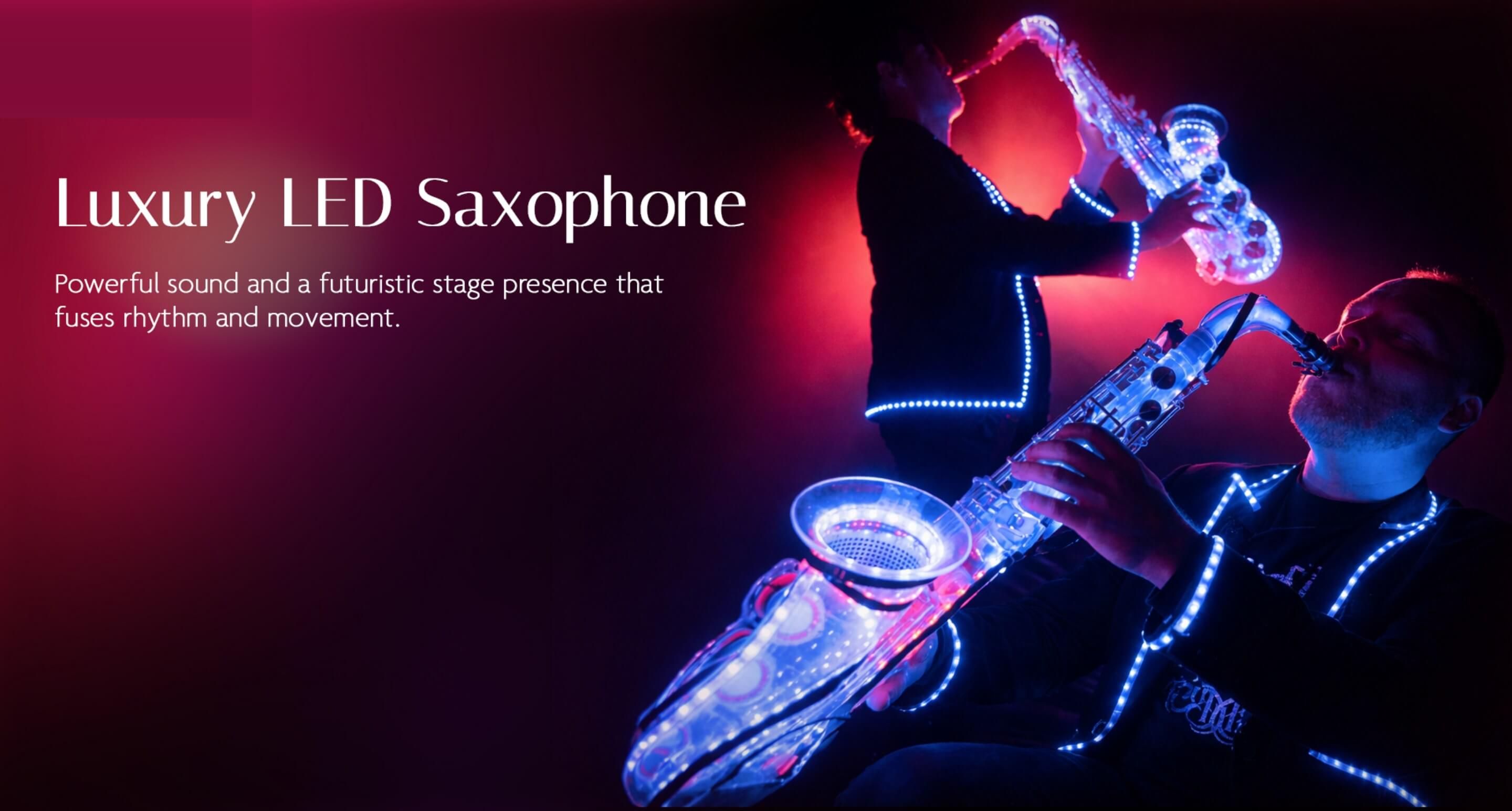 LUMINOUS presentation slide 6