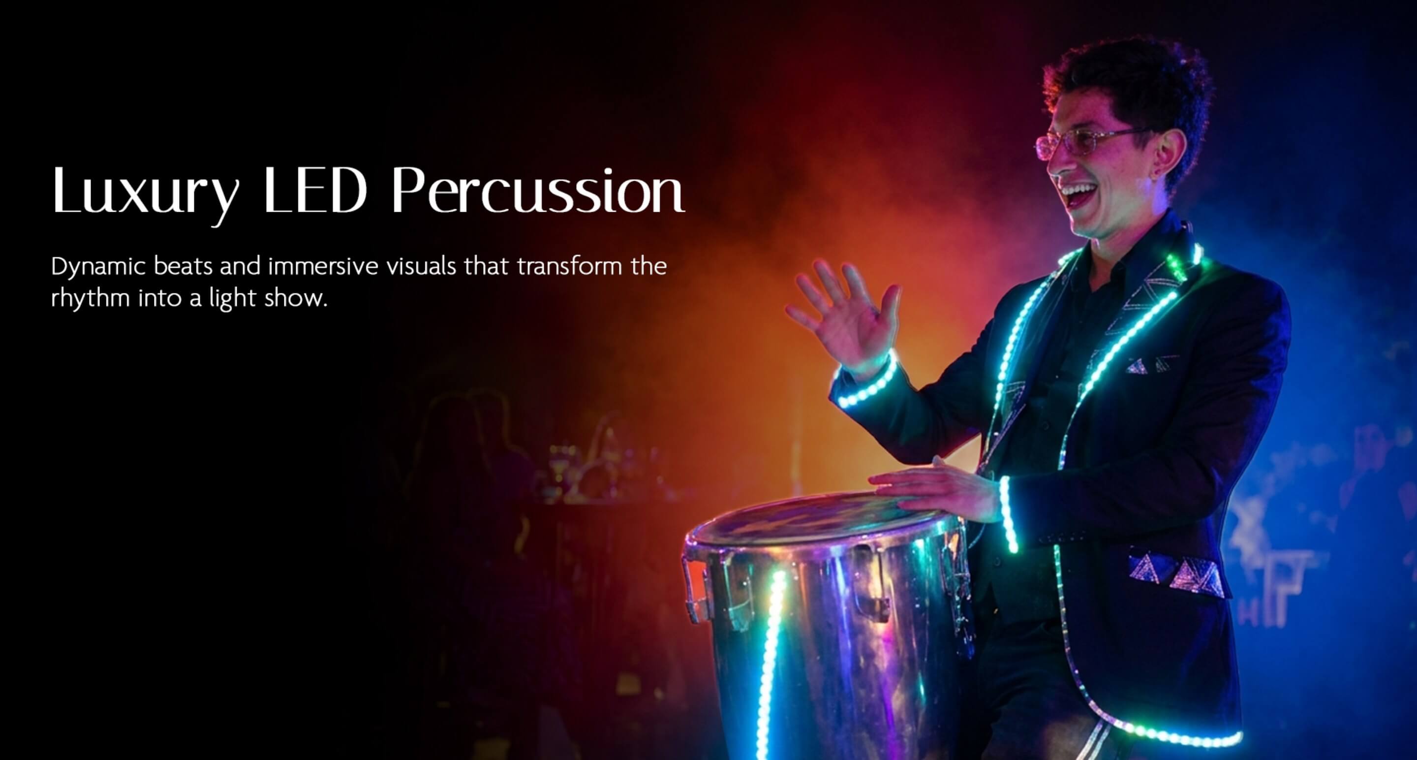 LUMINOUS presentation slide 7