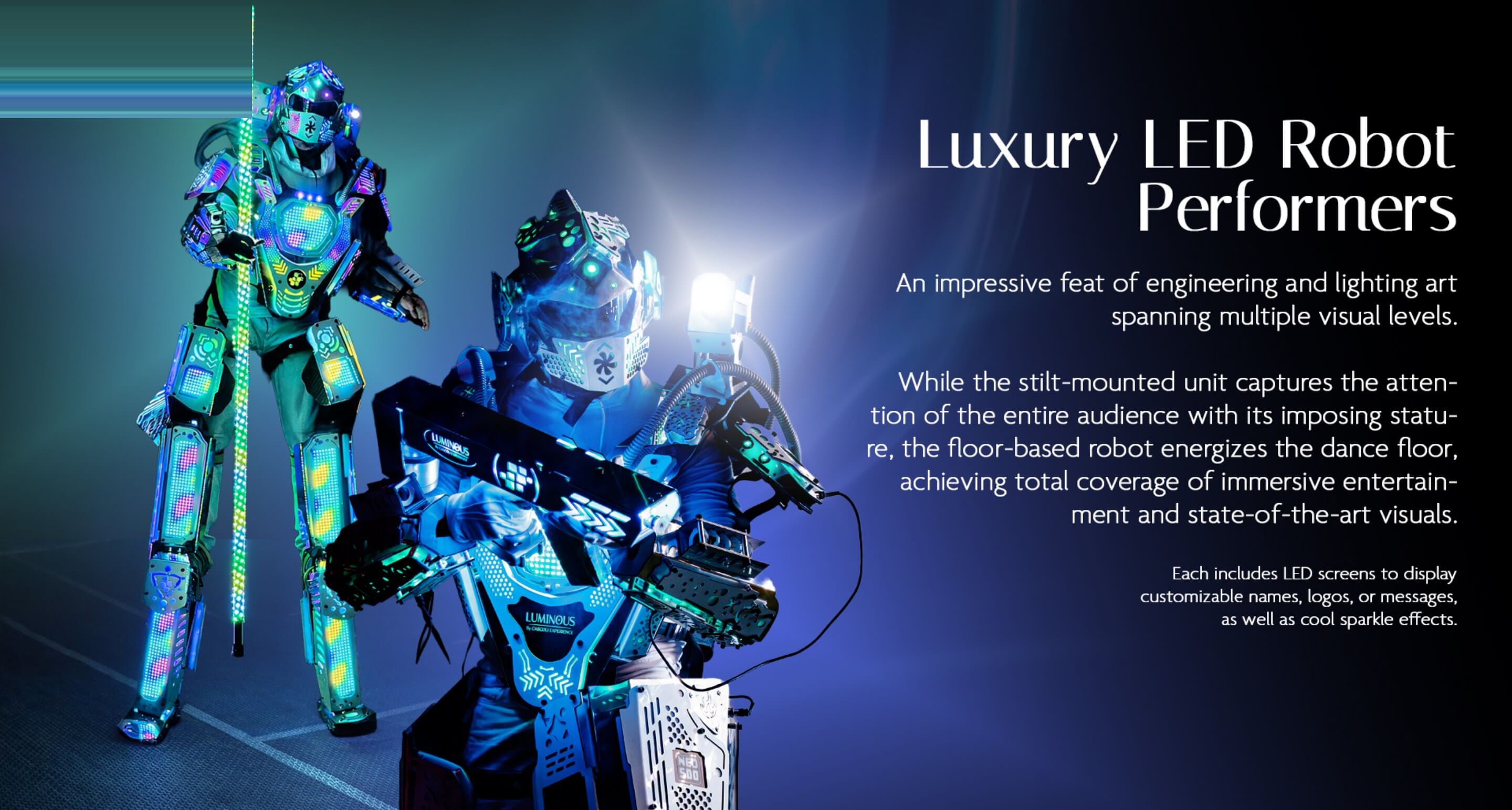 LUMINOUS presentation slide 8