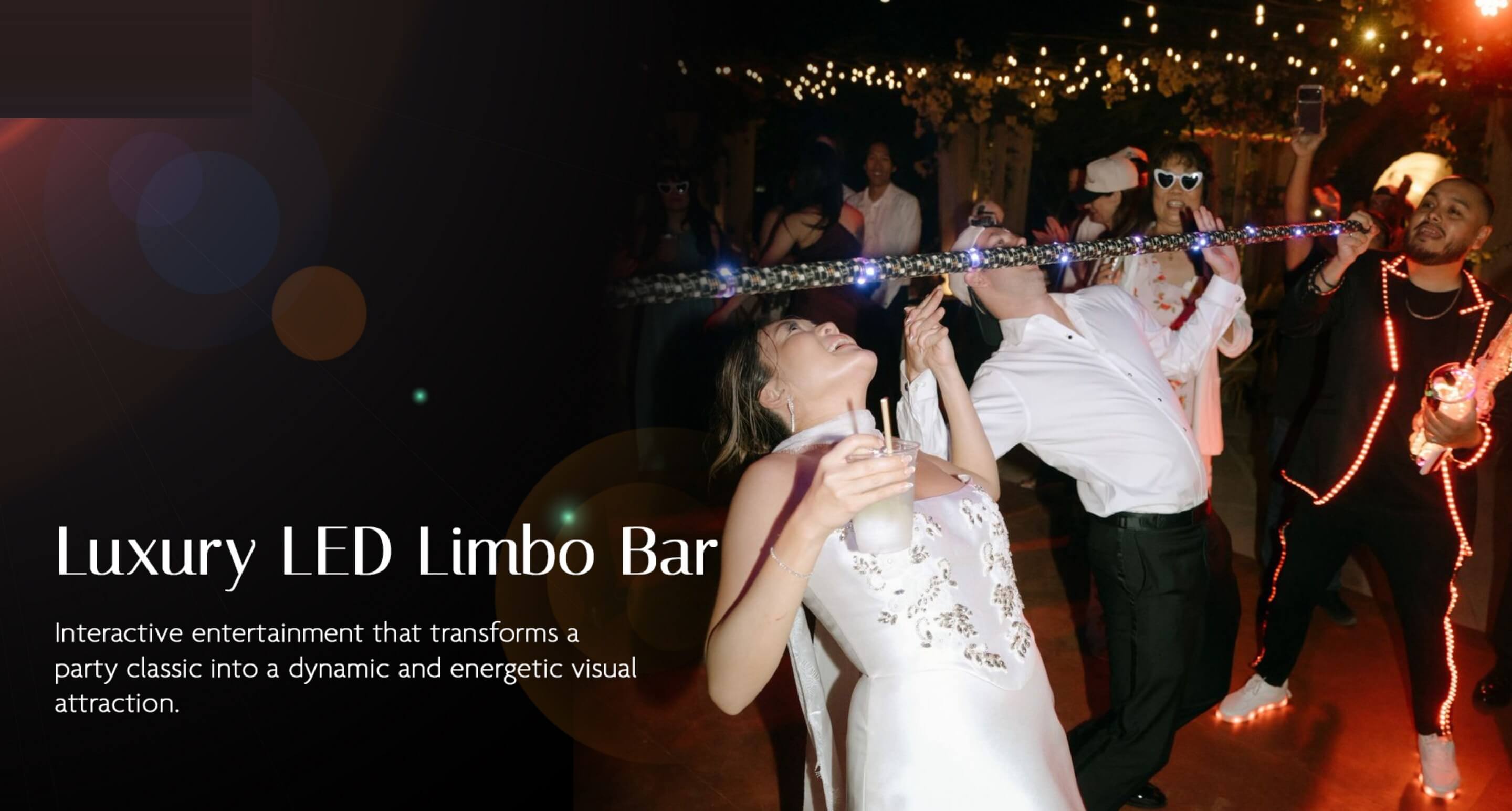 LUMINOUS presentation slide 9