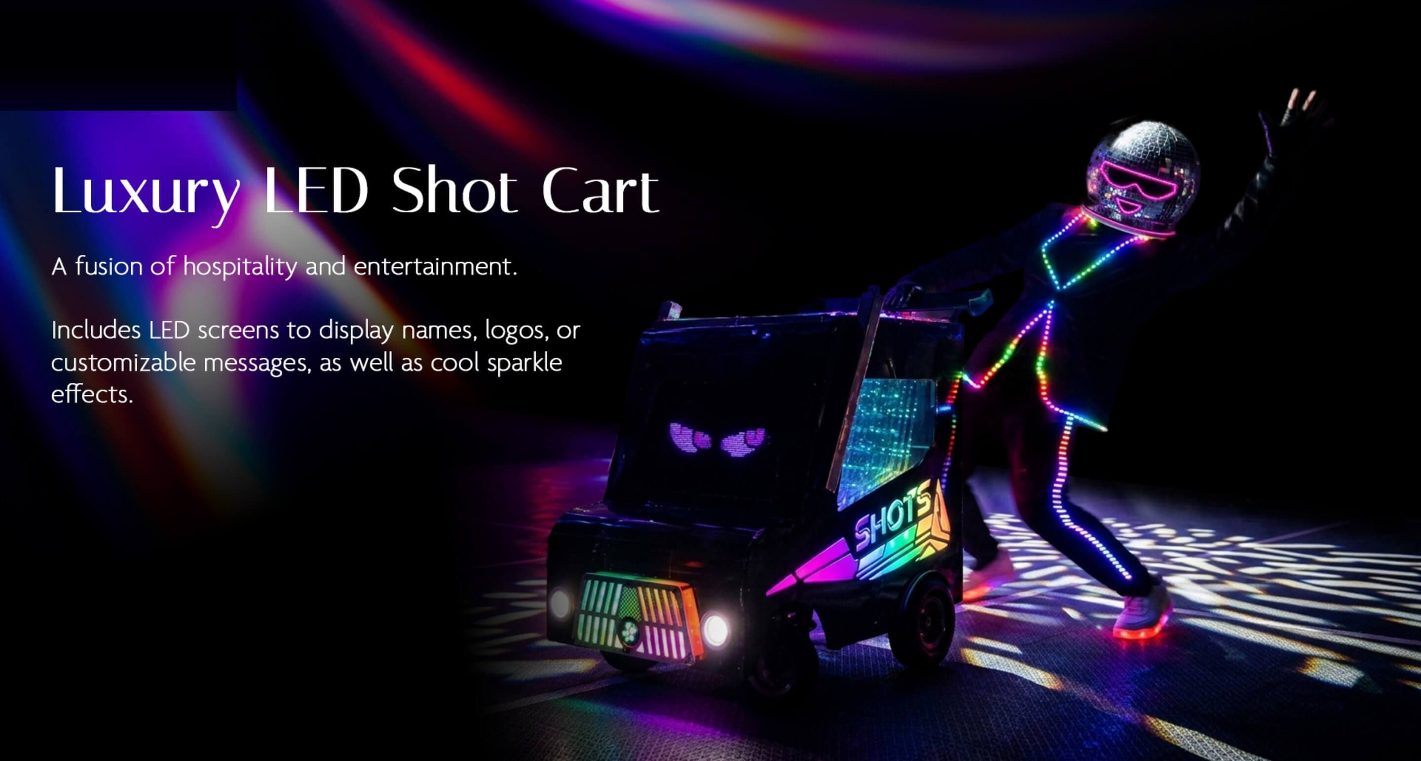 LUMINOUS presentation slide 10