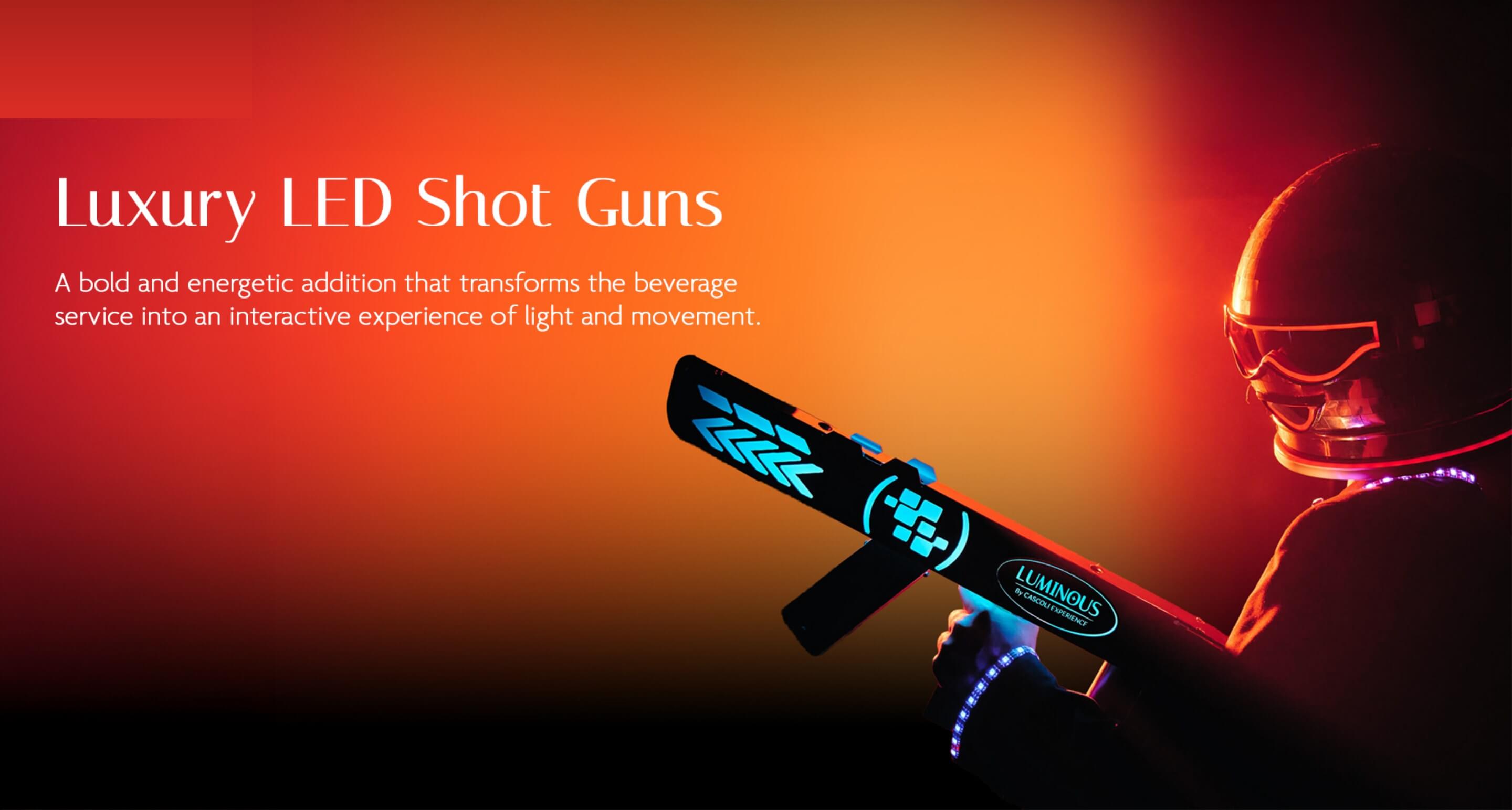 LUMINOUS presentation slide 11