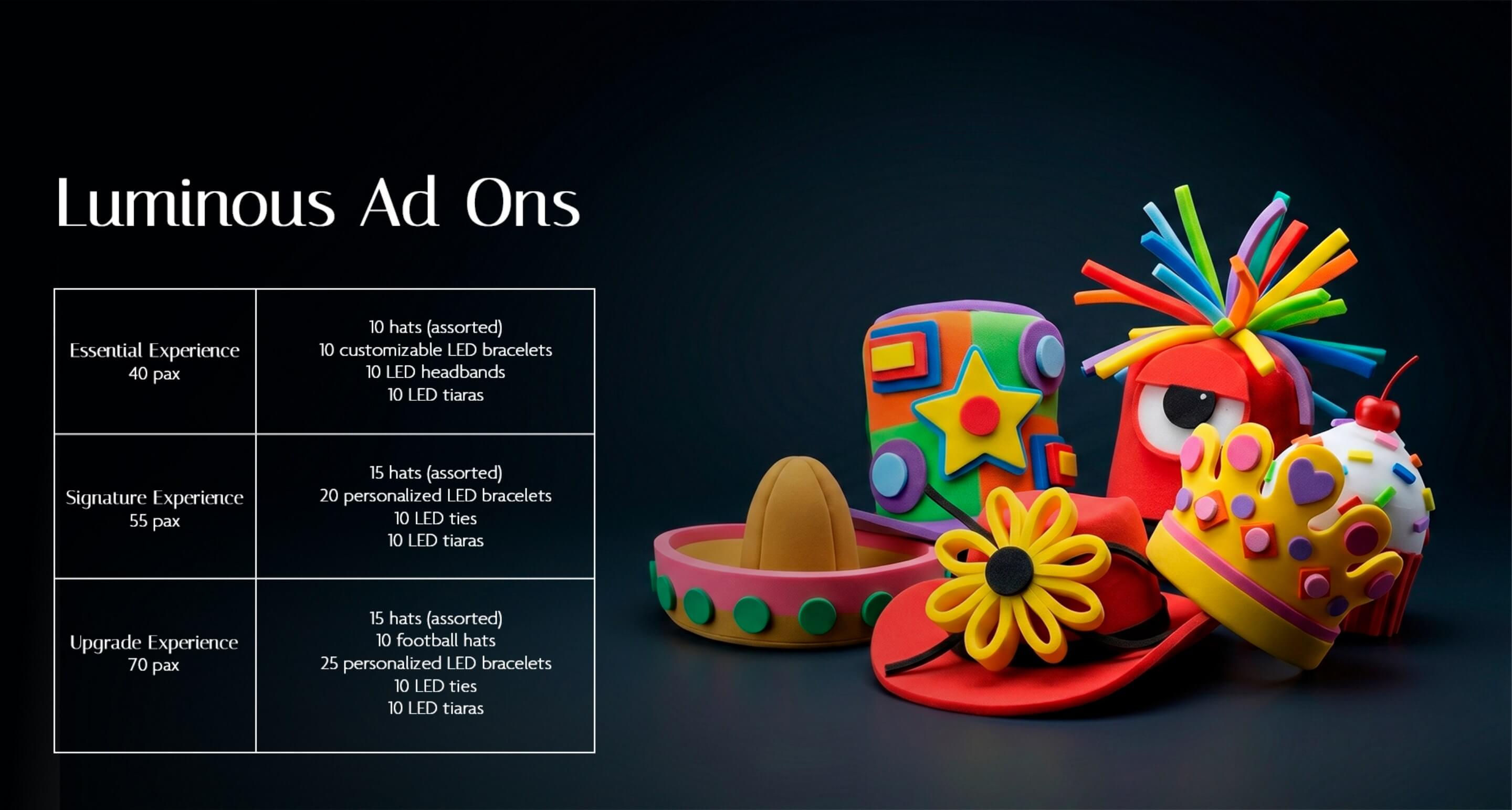 LUMINOUS presentation slide 12